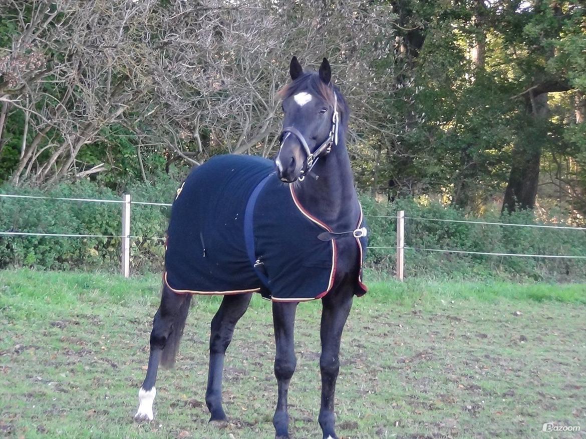 Oldenborg Another One 2 [Dundee<3] - Dundee!<3<3 billede 4