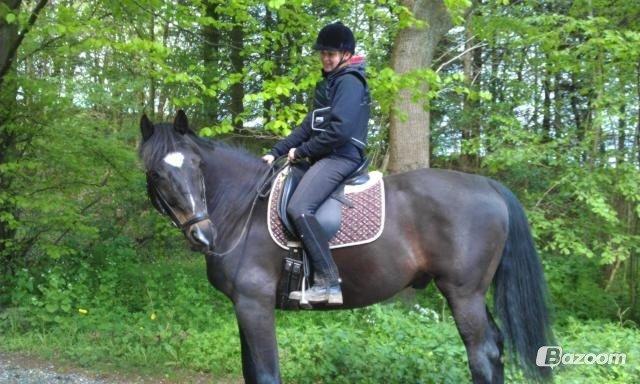 Oldenborg Another One 2 [Dundee<3] - Mor/Annette og Dundee<3 billede 14