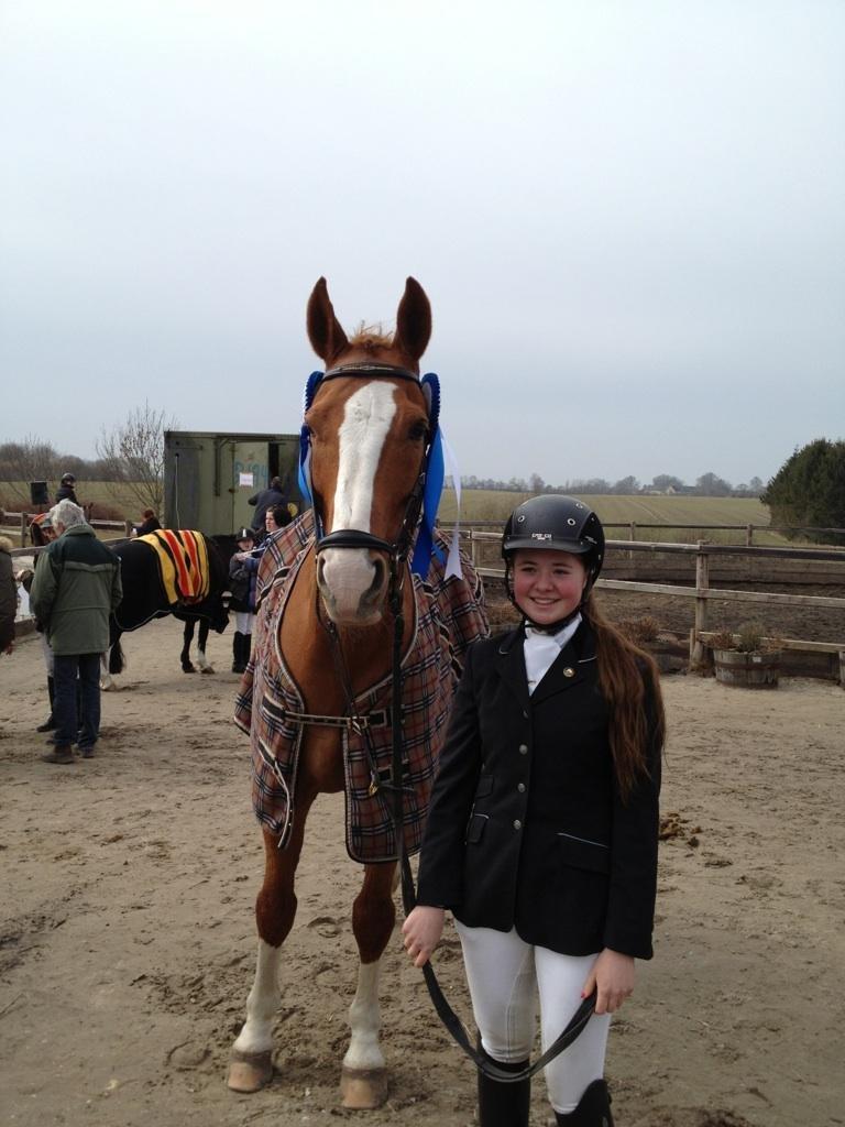 Dansk Varmblod Elbækgaards Roska <3 - 2. plads i LB1 og LB2 på stjernen <3 billede 12