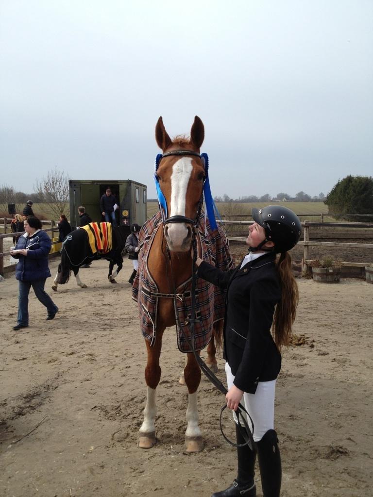 Dansk Varmblod Elbækgaards Roska <3 - Nobody can make me as happy as you! <3 billede 13