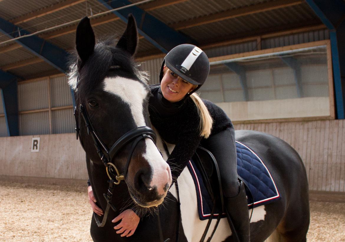 Anden særlig race Scarlet billede 10