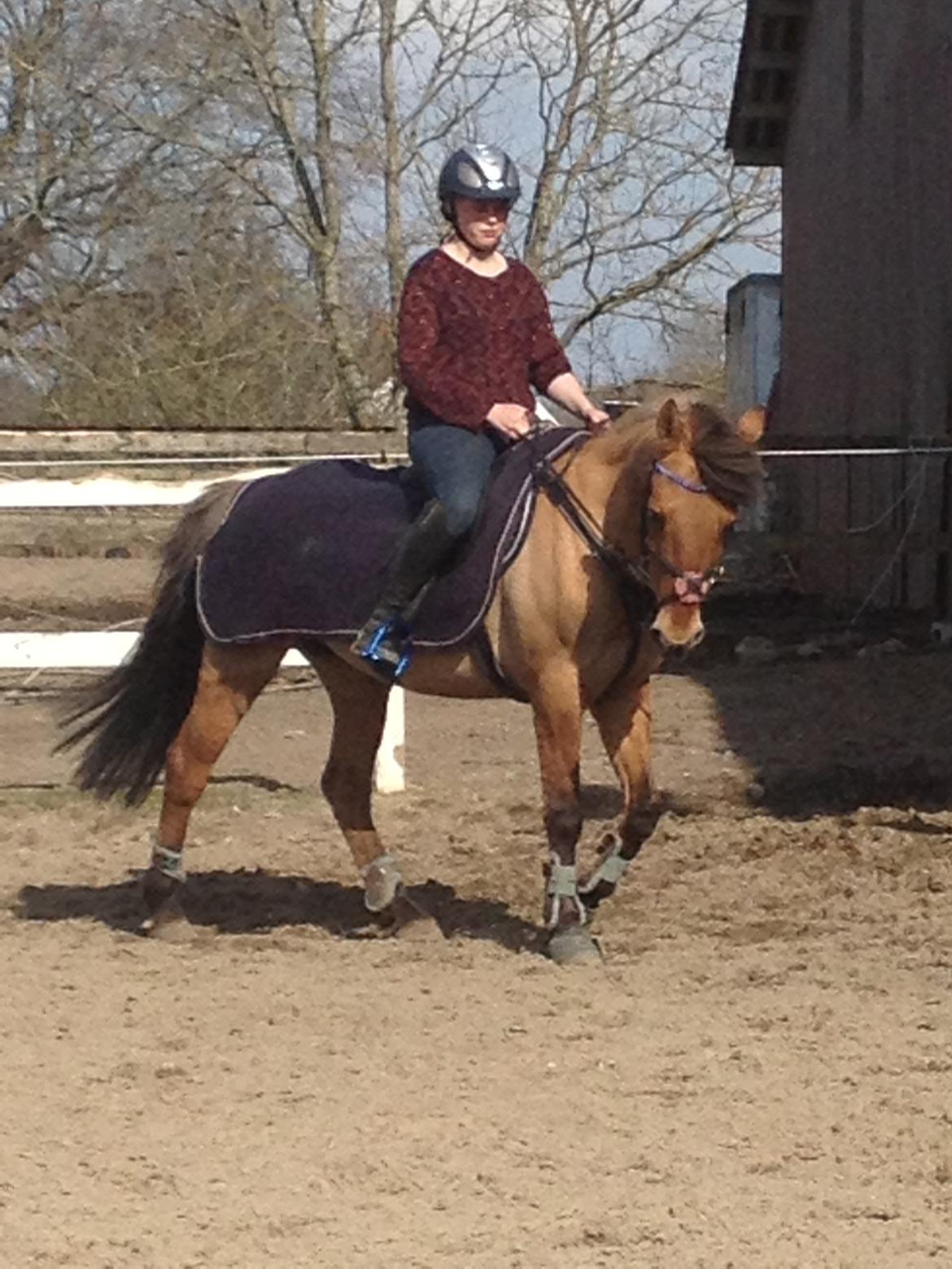 Anden særlig race kandis billede 10