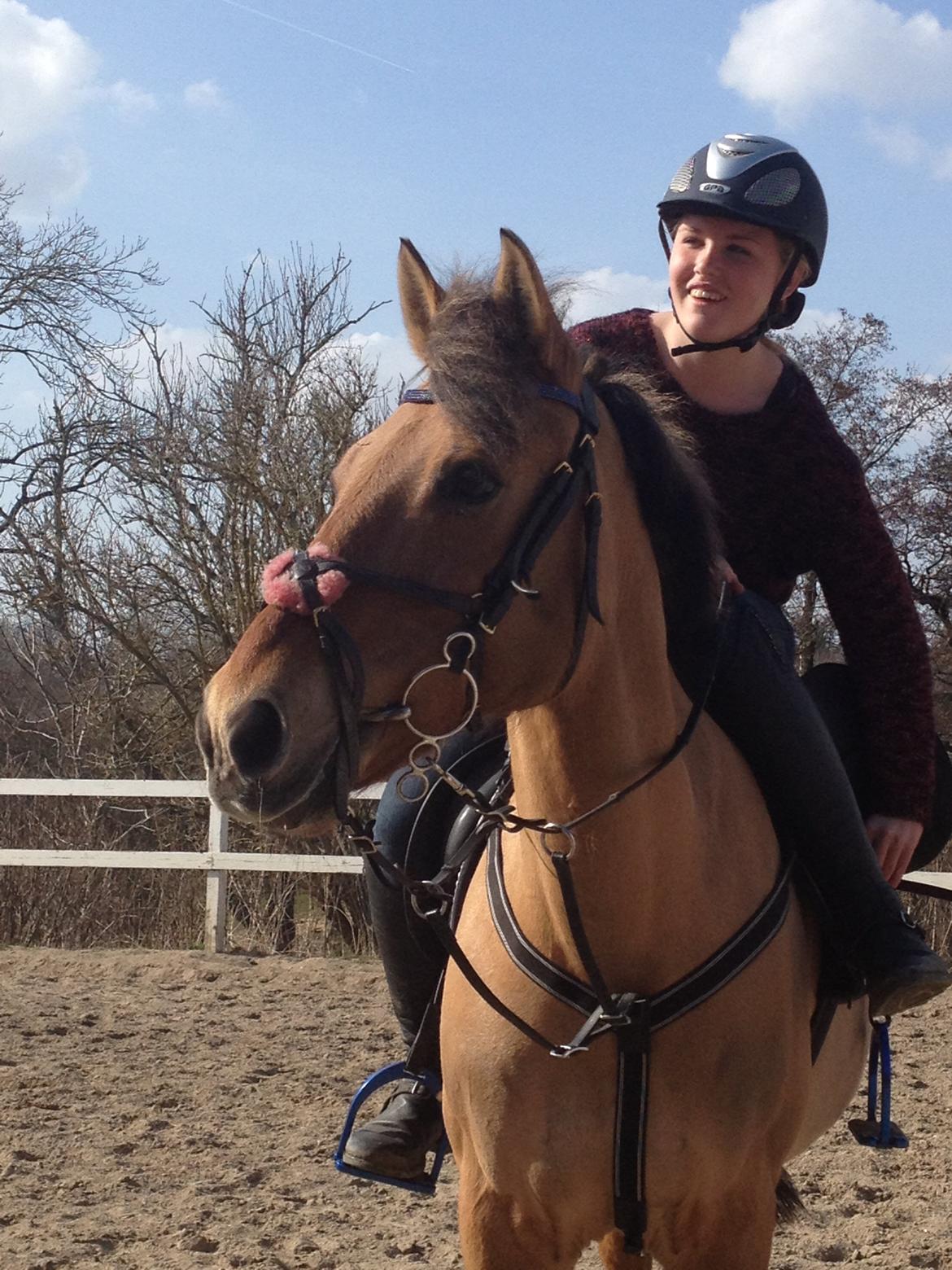 Anden særlig race kandis billede 12