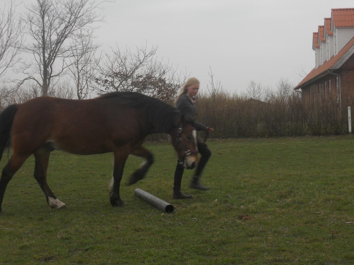 Anden særlig race Tarzan - Over Bum billede 6