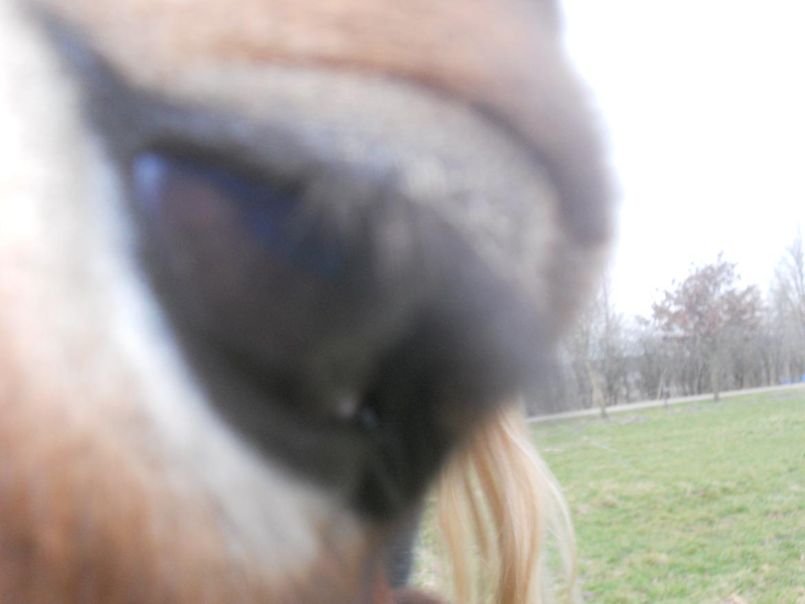 Anden særlig race Tarzan - Velkommen til min Øjestens Profil.
Nyd den billede 1