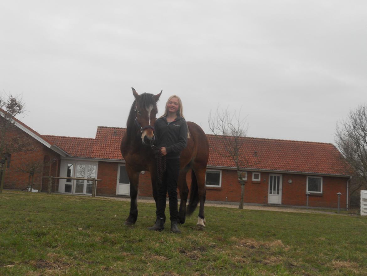 Anden særlig race Tarzan - Mig Og Tarzan billede 13