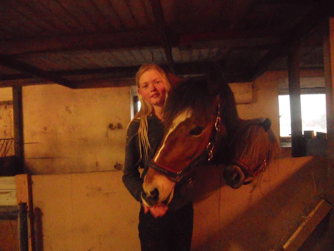 Anden særlig race Tarzan - Hygge i Stalden billede 3