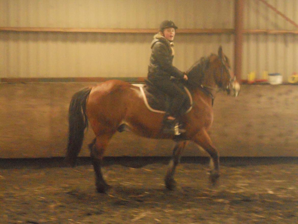 Anden særlig race Tarzan - Mig & Tarzan Rider Dressur billede 16