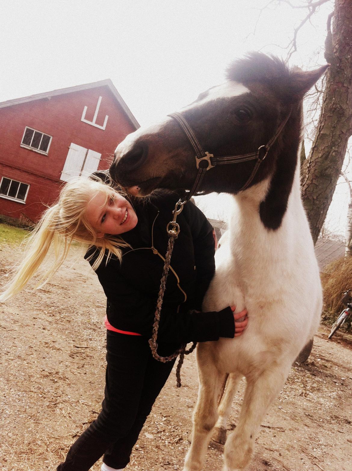 Pinto Kezia - 18-04-2013 billede 8