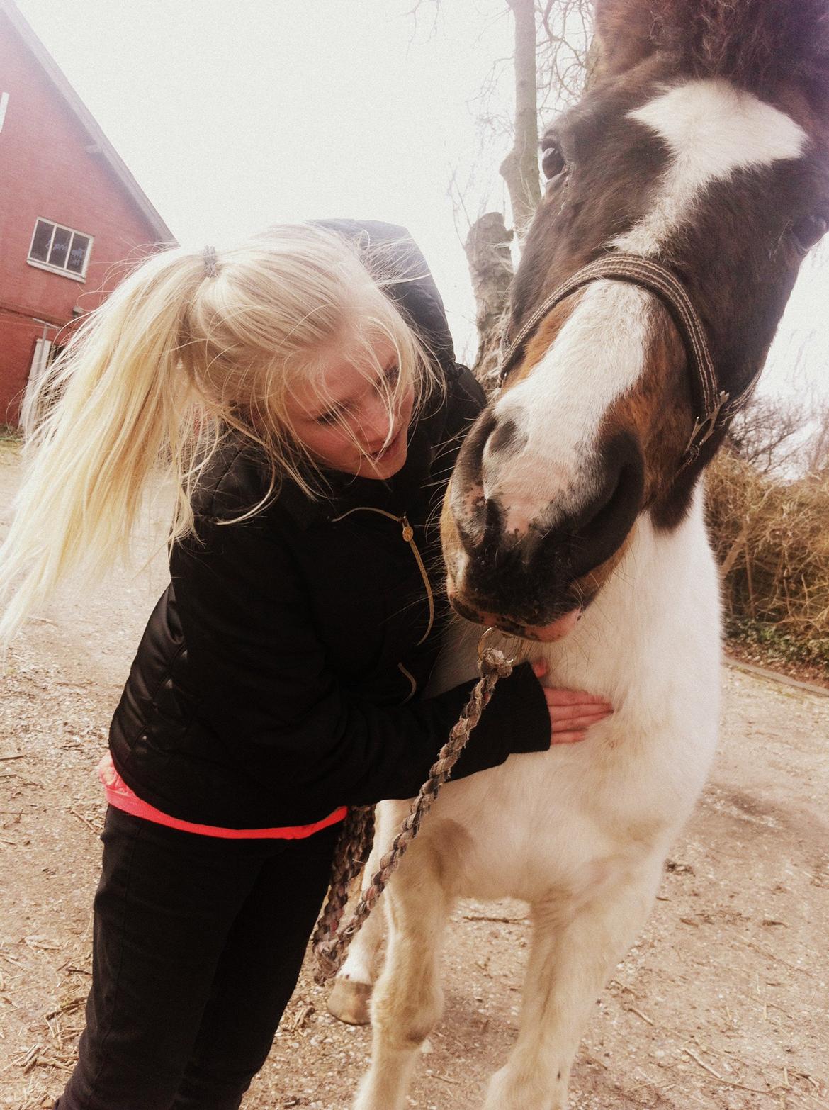 Pinto Kezia - 18-04-2013 billede 9