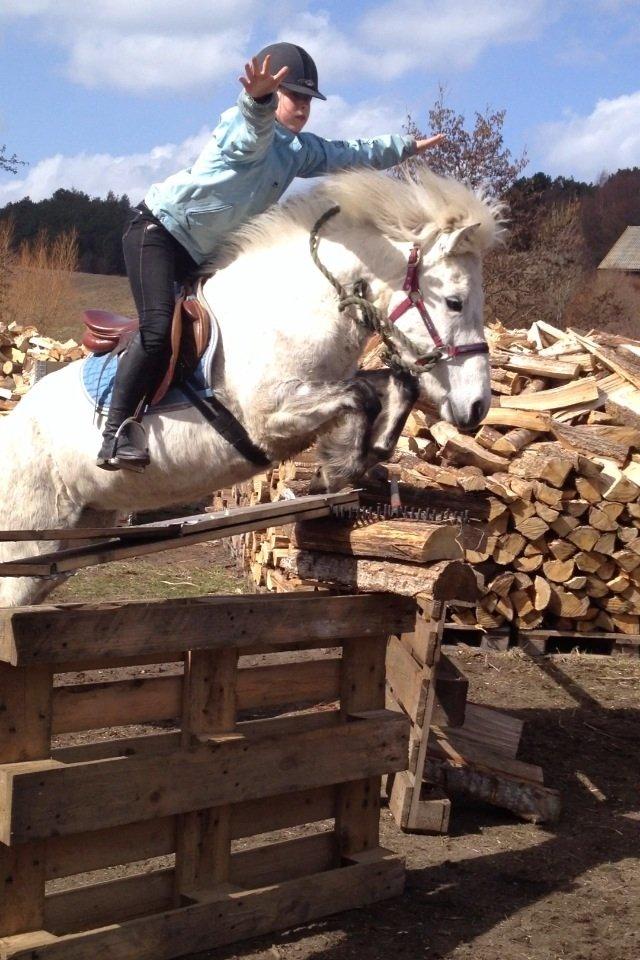 Islænder Ofeig billede 19