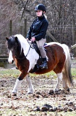 Anden særlig race Moonlight billede 2