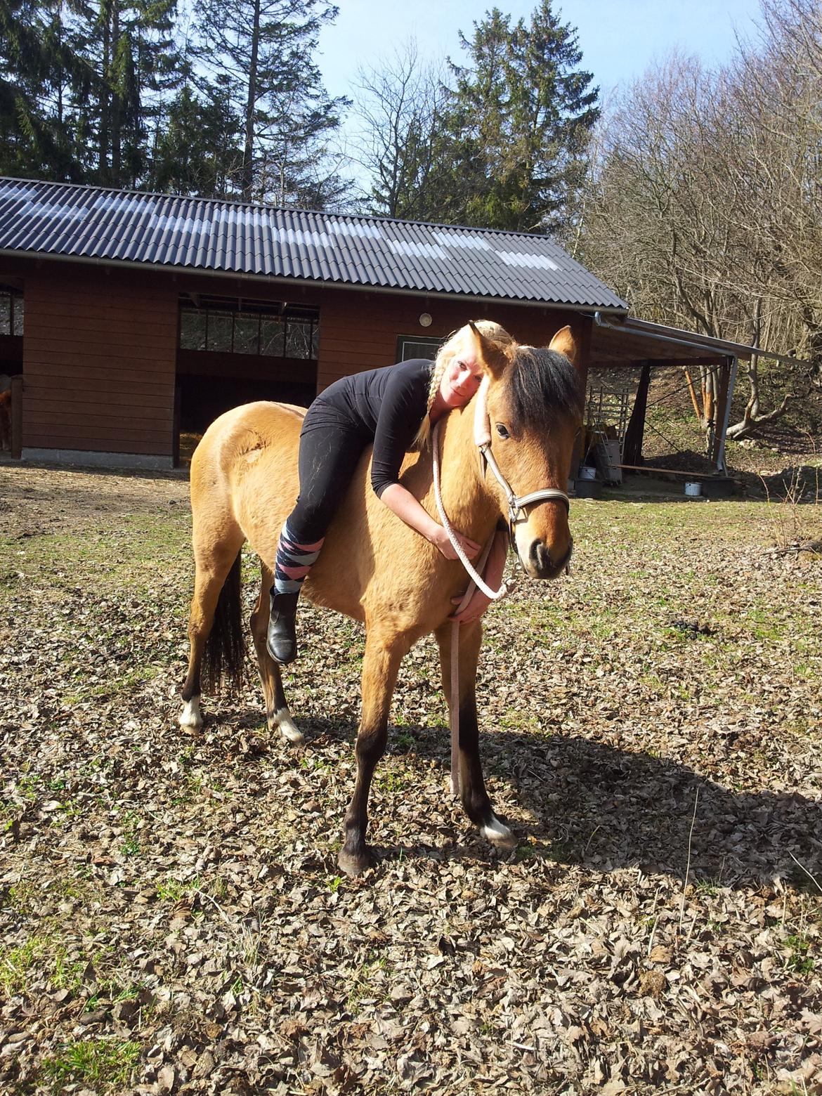 Anden særlig race Unica star billede 29