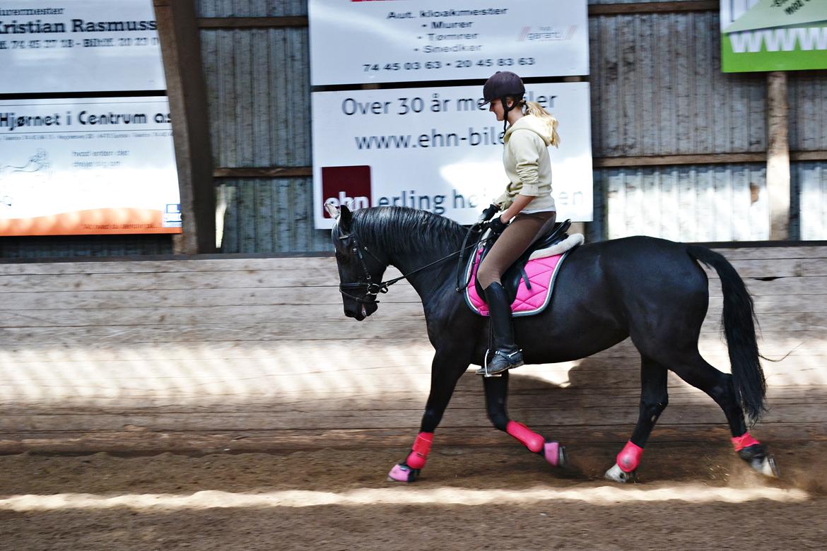 Anden særlig race Lady Gaga billede 3