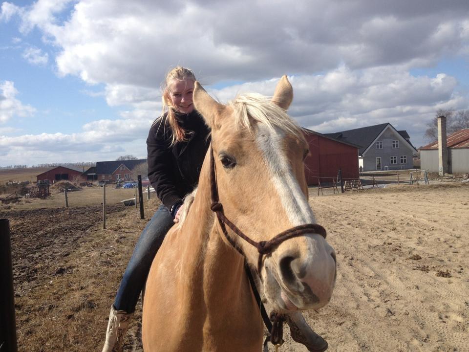 Palomino Heimdals Joy Of Gold - Første gang jeg sidder på hende :P billede 5