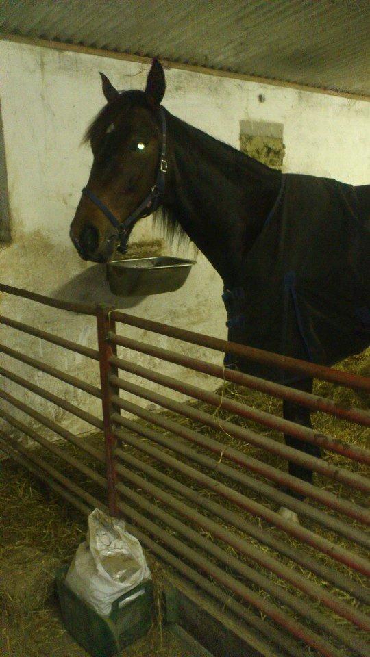 Traver Mccoy V K billede 2