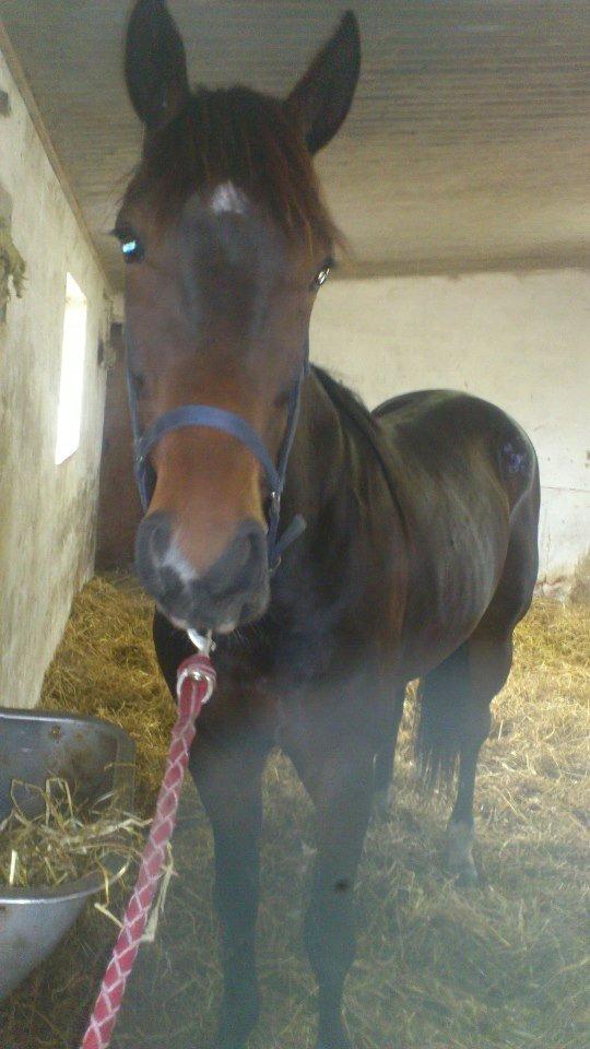 Traver Mccoy V K billede 4