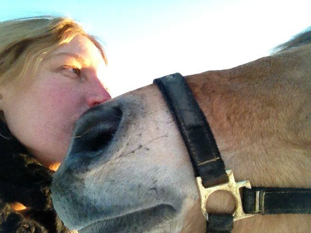 Anden særlig race Sølvmosegaards Sascha - Mig og min skønne pony billede 8