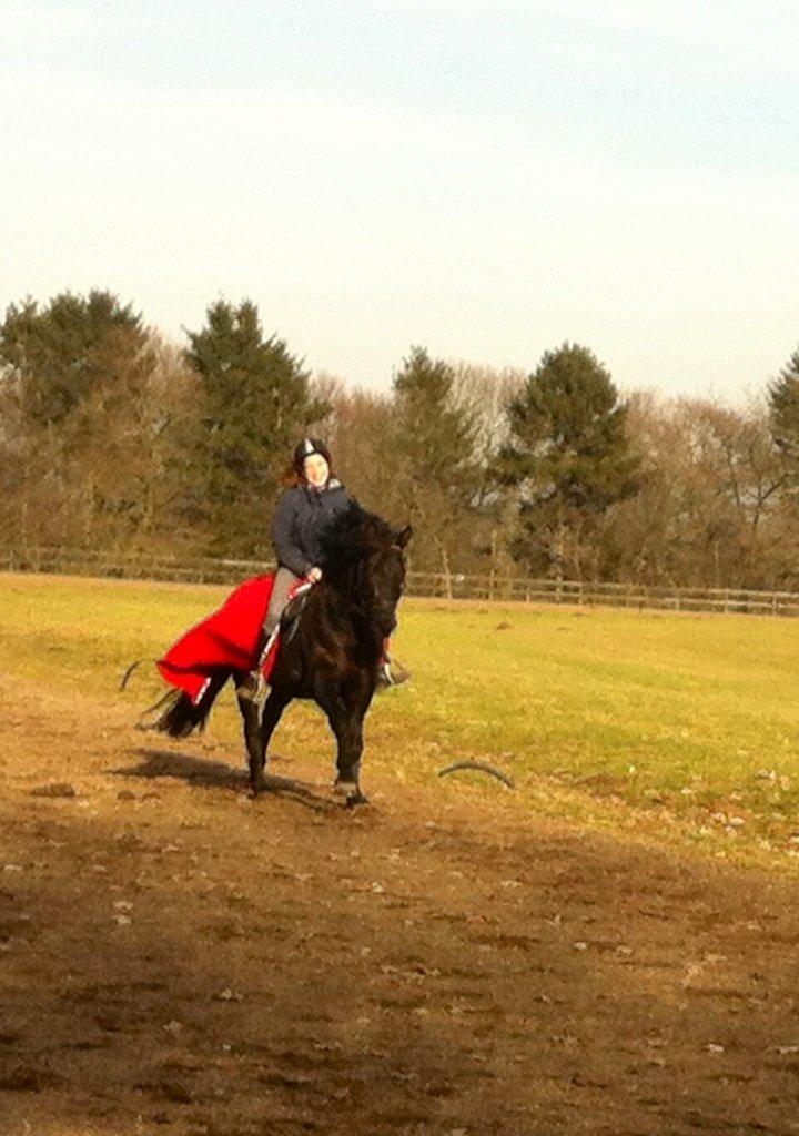 New Forest Gay Count Zidan - dejlig galoptur på banen:D billede 2