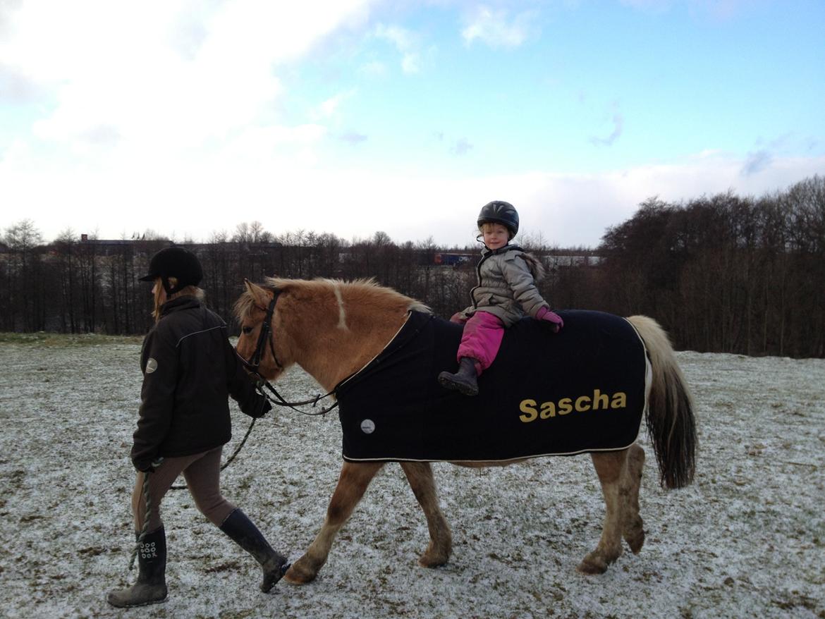 Anden særlig race Sølvmosegaards Sascha billede 10