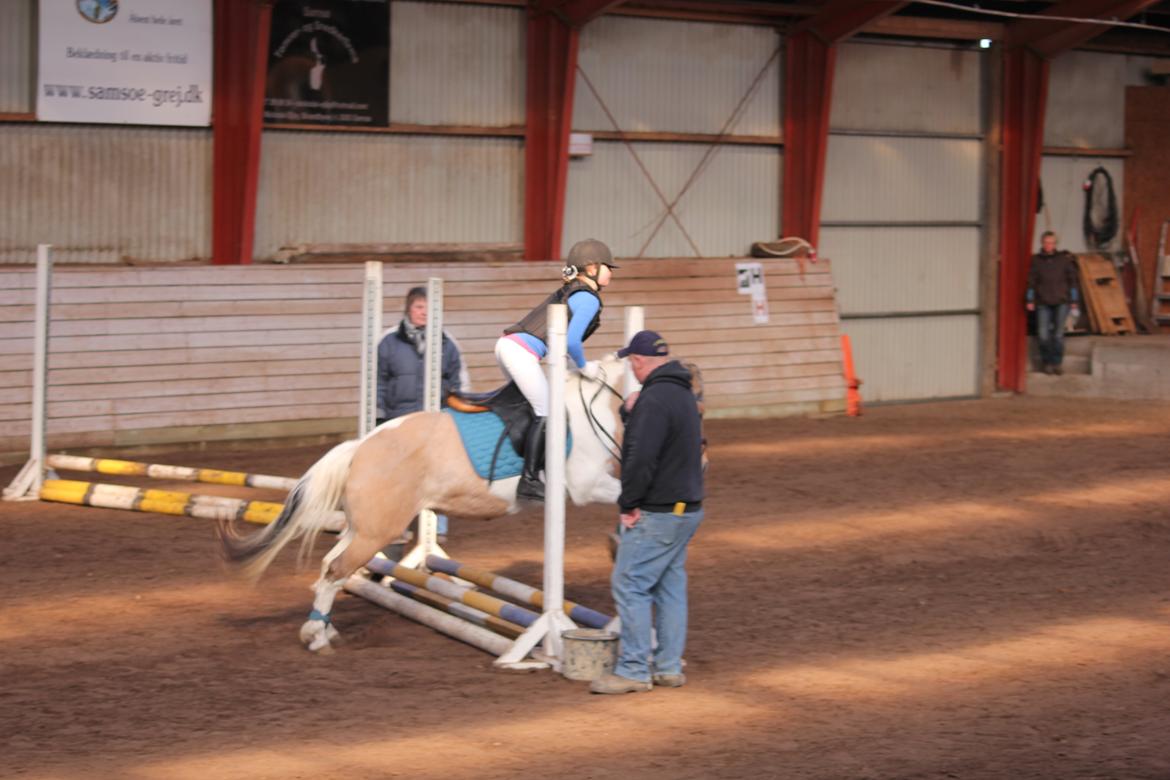 Anden særlig race Dundee*Beautiful*<3 - mit y-billede billede 13