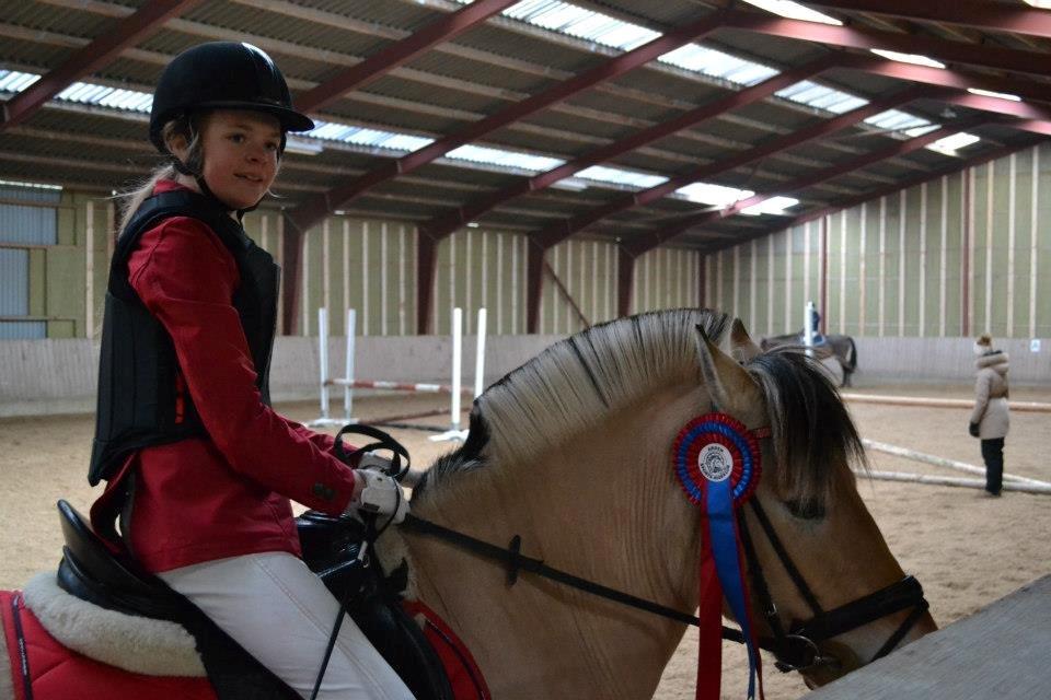 Fjordhest Mille - 0 fejl i LC<3 billede 2