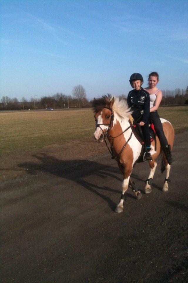 Pinto Stald poppels Hollywood Holy-man R.I.P MIN ENGEL billede 11