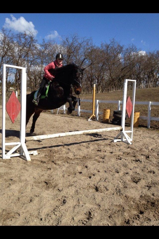 Anden særlig race Krumme *Part* billede 19