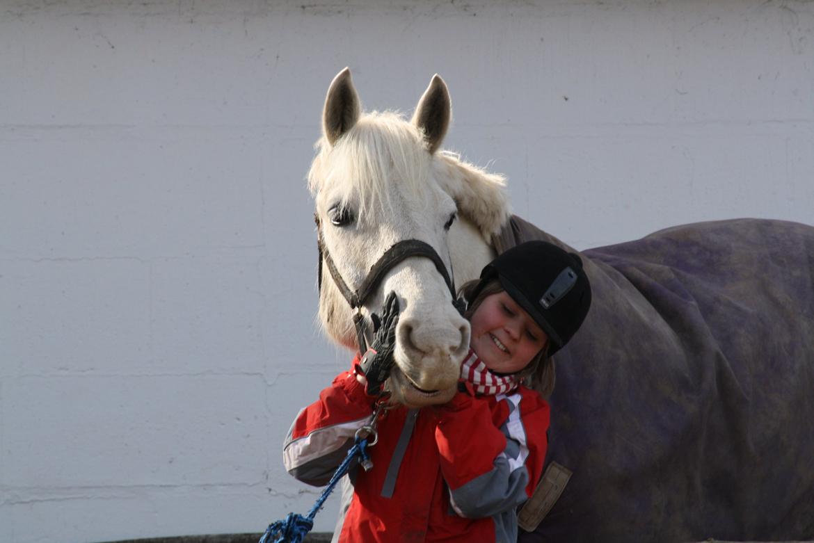 Anden særlig race Irish Patch - Søde Alberte og IP d. 5.4.13 billede 1