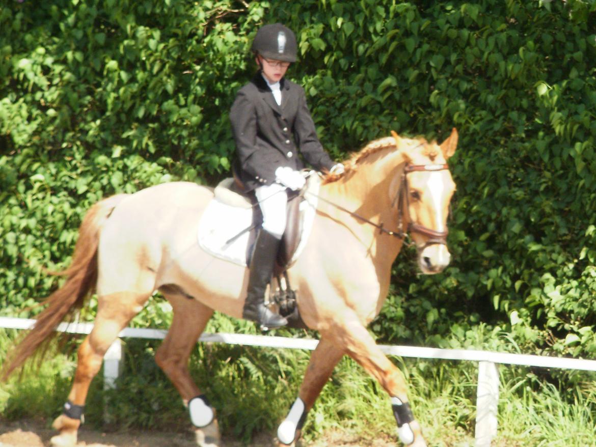 Anden særlig race <3 Rabondi <3 *SOLGT* billede 14