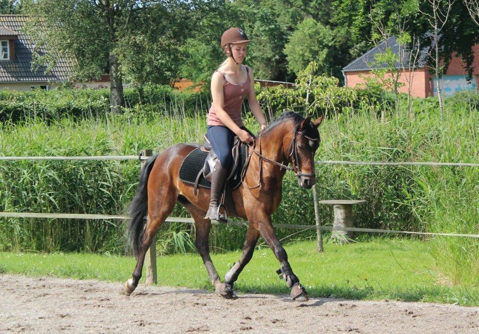 DSP Mirain Charming billede 12