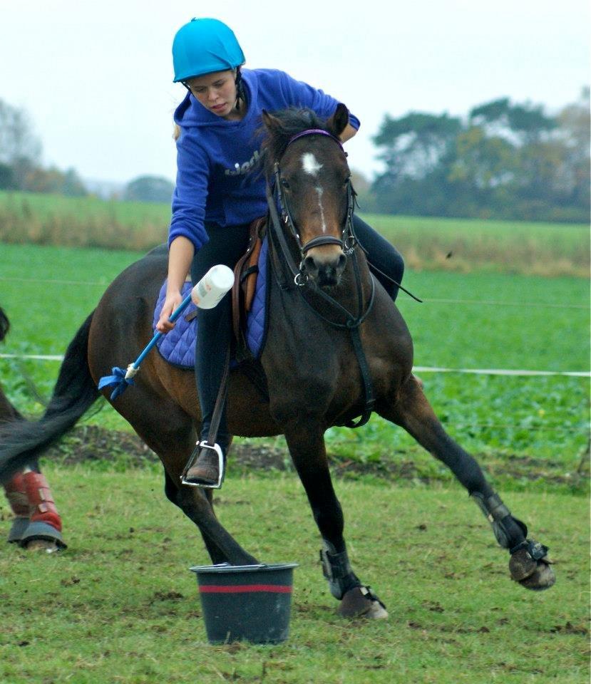 DSP Mirain Charming - Mounted games 2012 billede 13