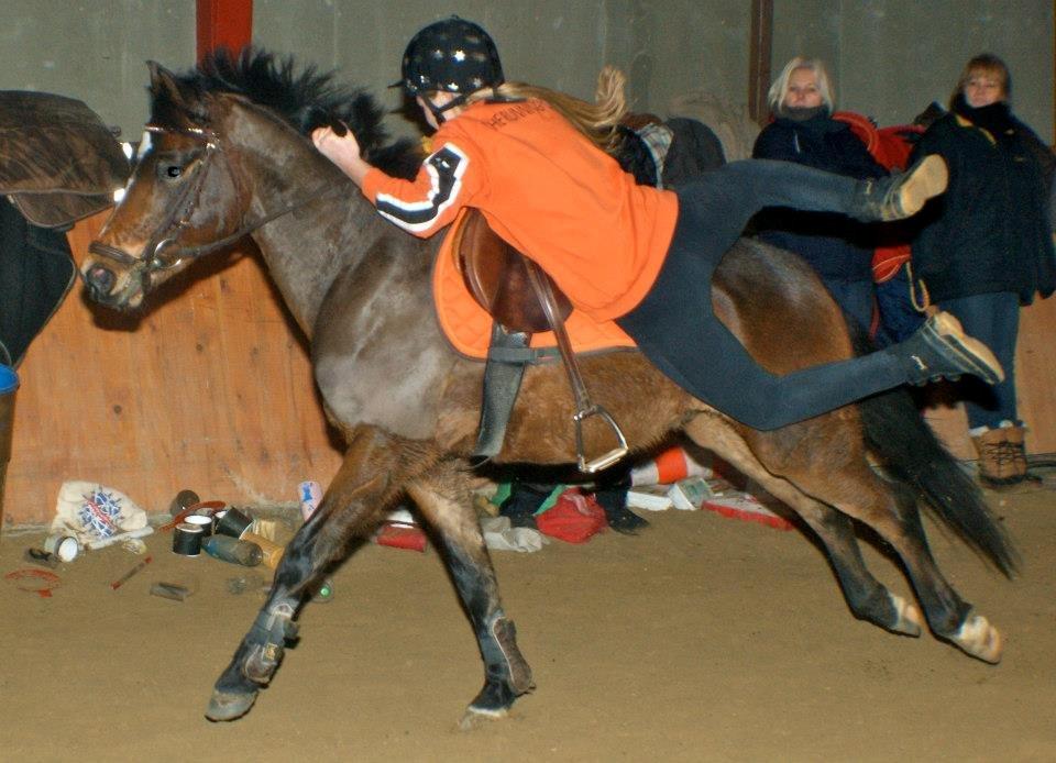 DSP Mirain Charming - Kursus hos Mark Devitt 2012 billede 14