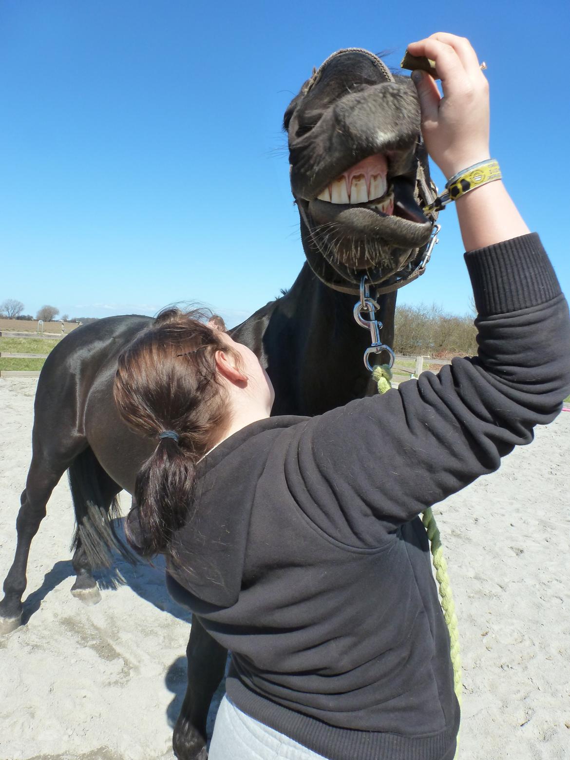 Oldenborg Olfert Almager - ''Smil til verden og den smiler til dig.'' Foto: Nadia Neergaard. billede 10