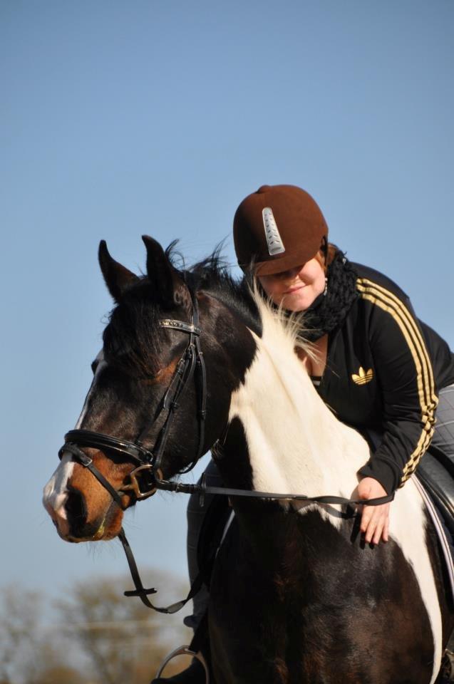 Pinto Jasmin Engbo billede 18