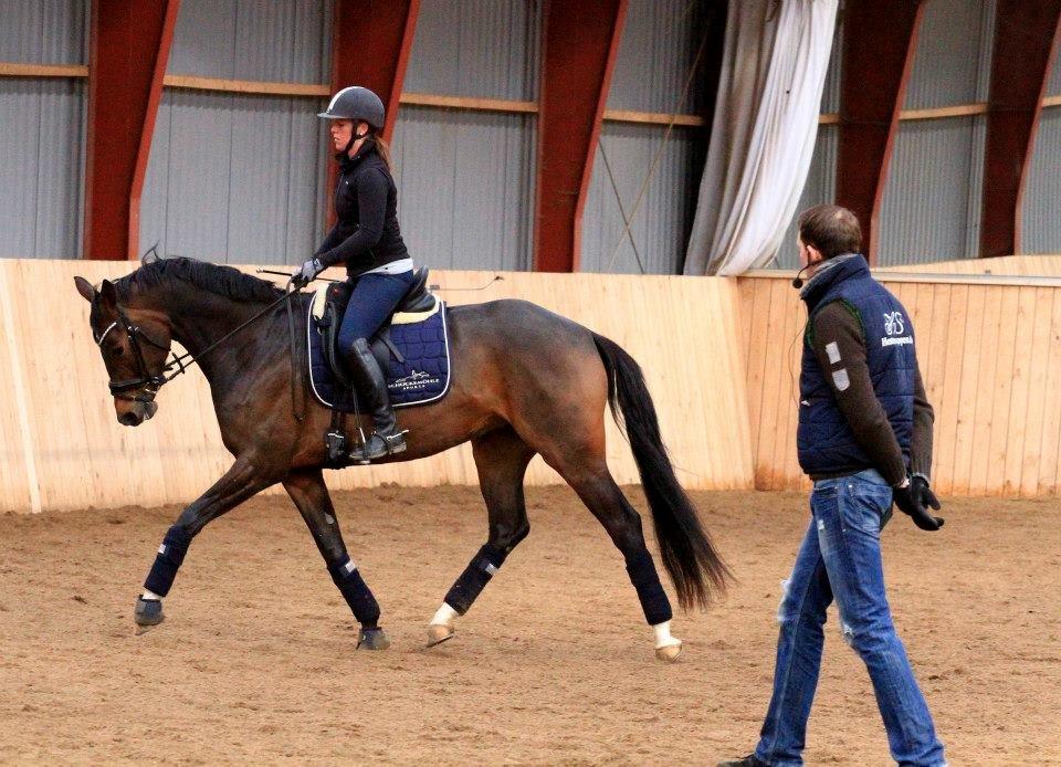 Dansk Varmblod Elmegaard´s Quote Me - Kursus ved Sune Hansen d.6-7 April 2013 billede 4