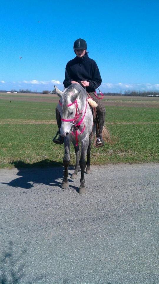 Anden særlig race India - India og jeg på tur 20/4-13 billede 2