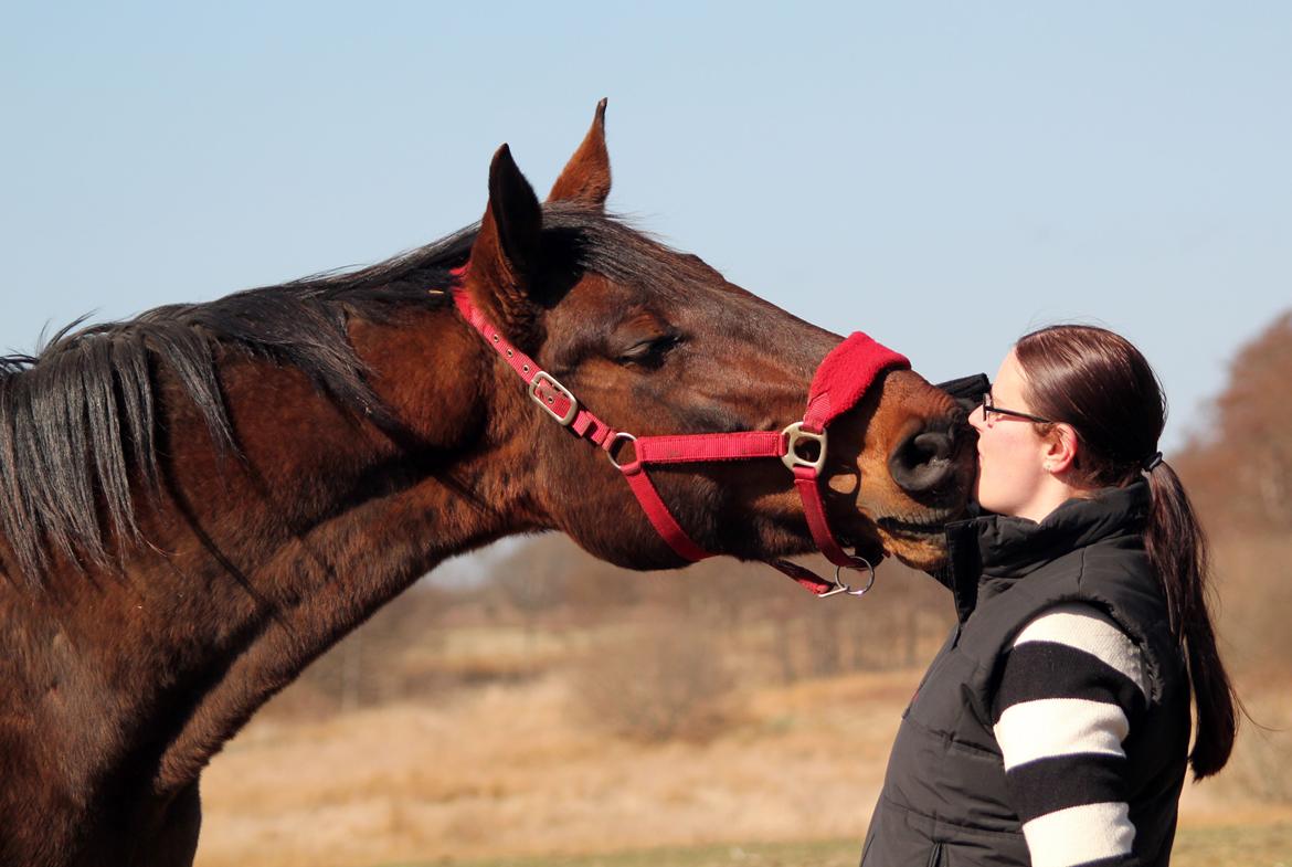 Anden særlig race Iberia S 3 *For evigt elsket <3* - Nååh Ib kan nu mysse :) Min dejlige pige <3 billede 14