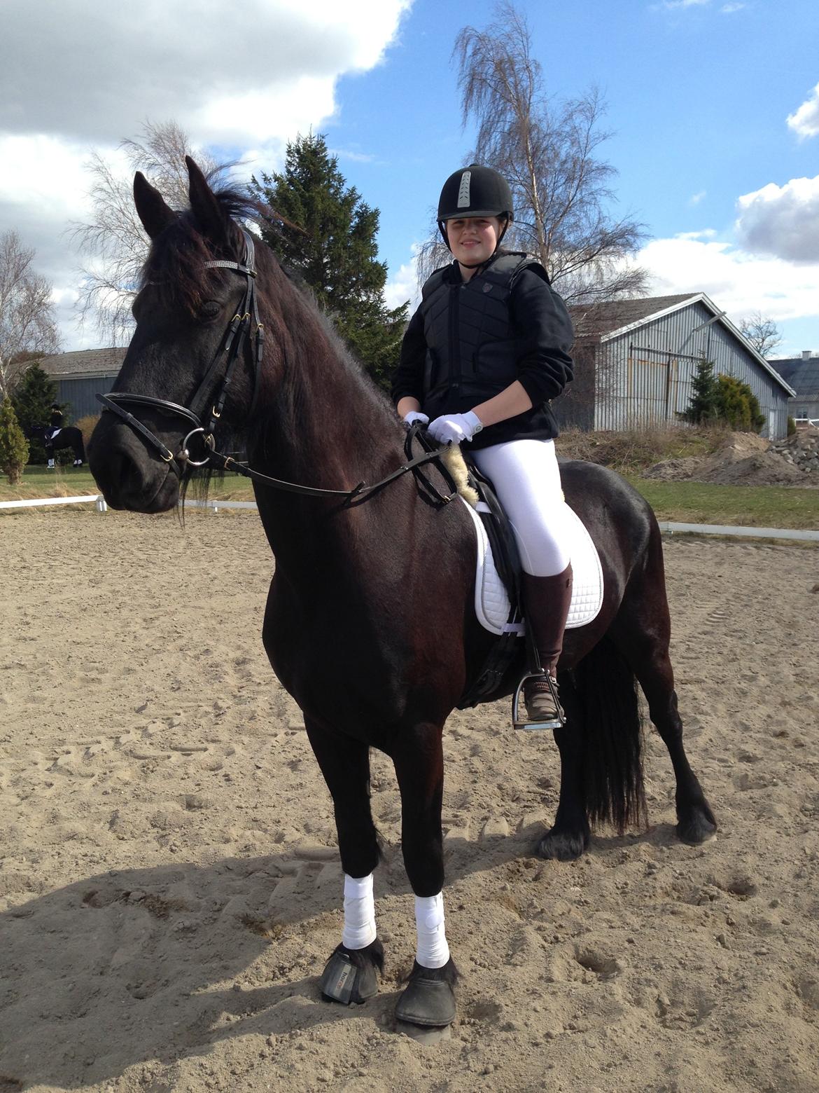 Frieser Karstina billede 4