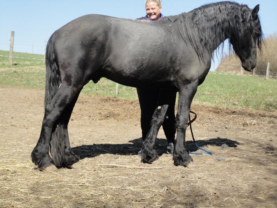 Frieser seppy 16 DØD billede 12