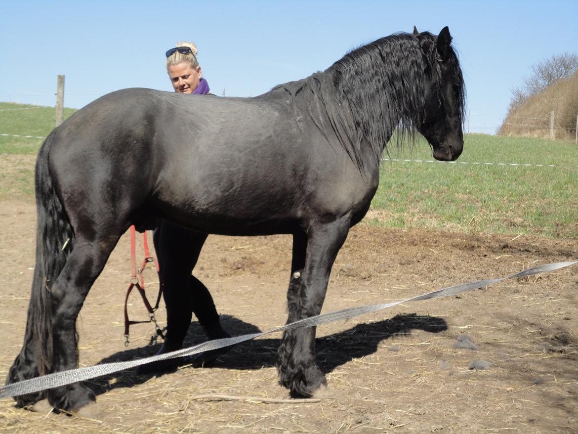 Frieser seppy 16 DØD billede 15