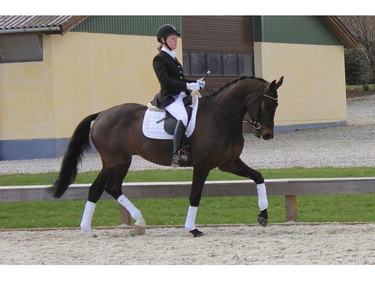 {{currentPhoto.altText}} billede {{currentPhoto.number}}