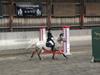 Appaloosa Plet [Tidl. part]