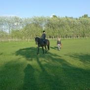 Mecklenburger pikdame!<3333(prinsessen)