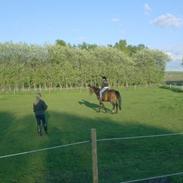 Mecklenburger pikdame!<3333(prinsessen)