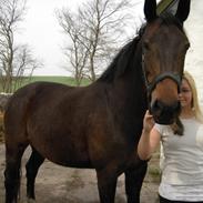 Mecklenburger pikdame!<3333(prinsessen)