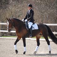 Anden særlig race jessi