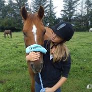 Anden særlig race Kalip