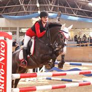 Knabstrupper Sandlundens Montana <3