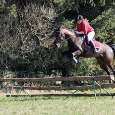 Anden særlig race Himmelhest Nightwish *DRØMMEHESTEN*